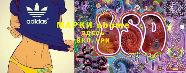 PSILOCYBIN Навашино