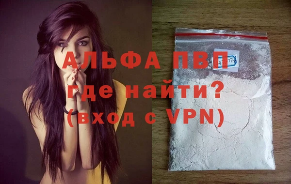 PSILOCYBIN Навашино