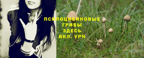спиды Нея