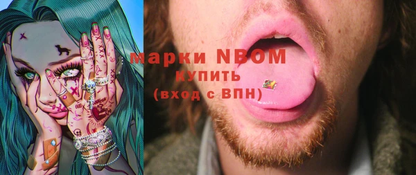 стаф Белая Холуница