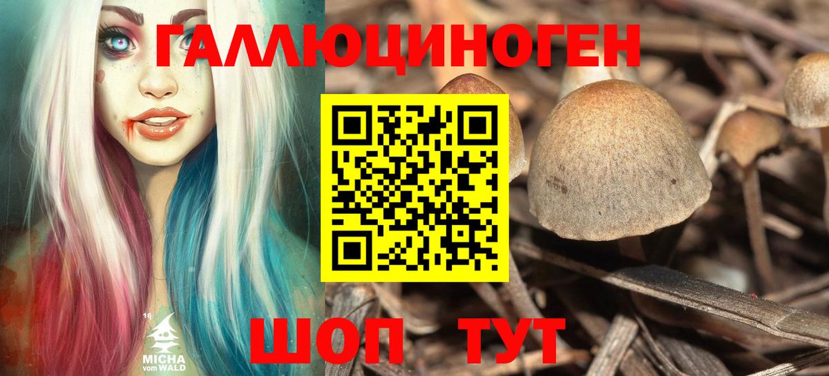 Галлюциногенные грибы мухоморы Балашиха