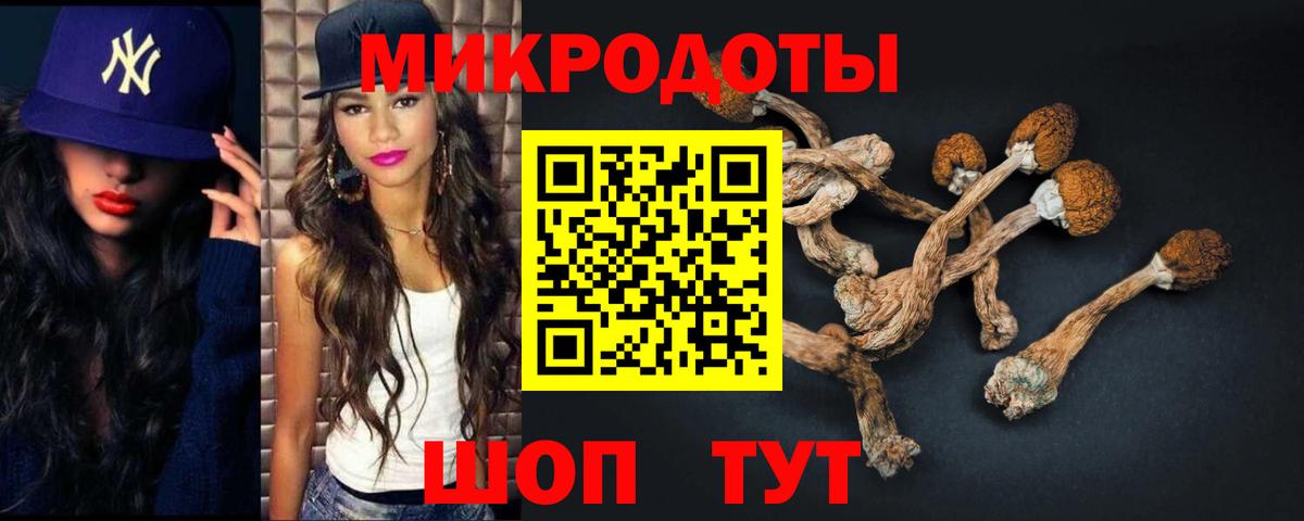 Псилоцибиновые грибы мицелий  Балашиха  Псилоцибиновые грибы Magic Shrooms 